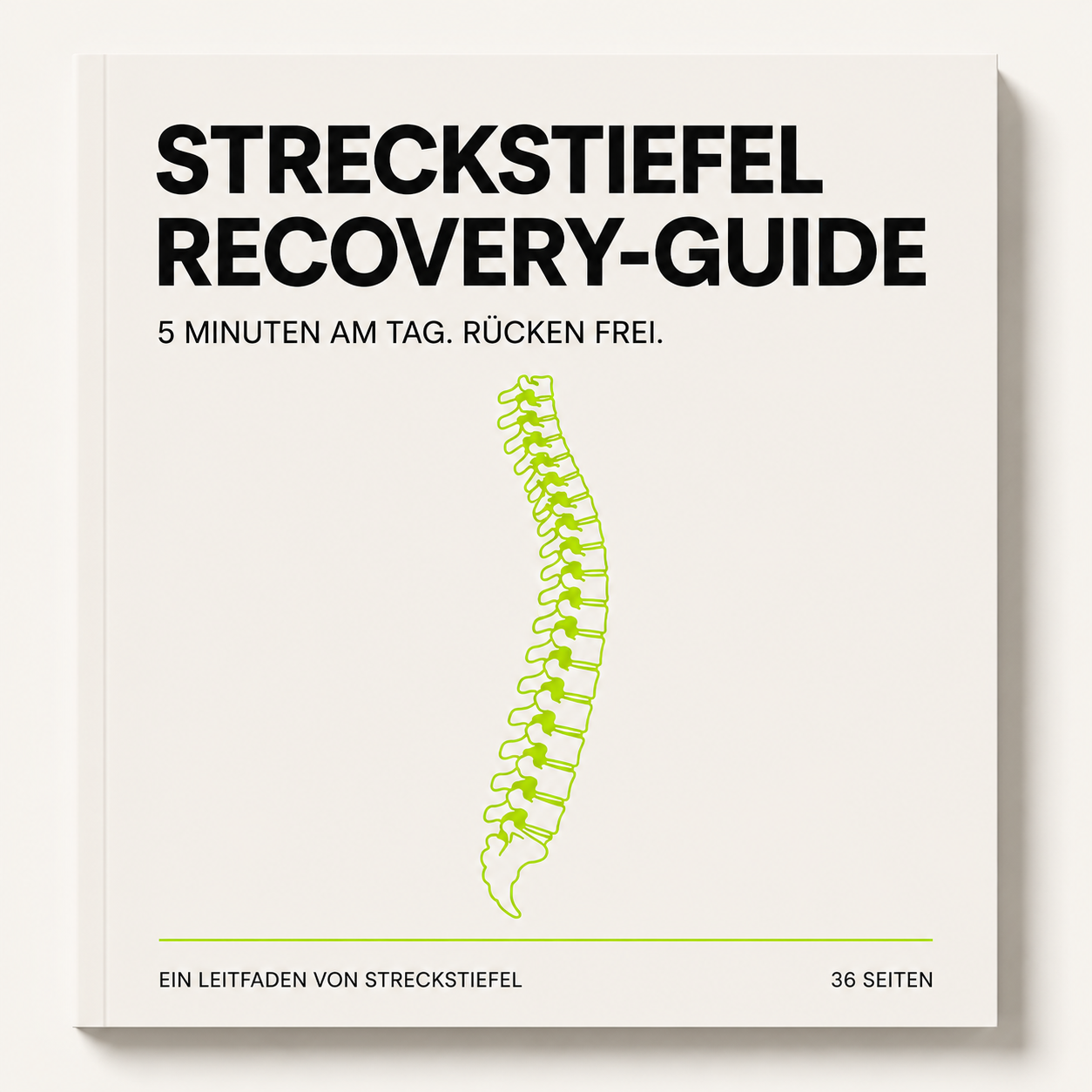 Recovery-Guide