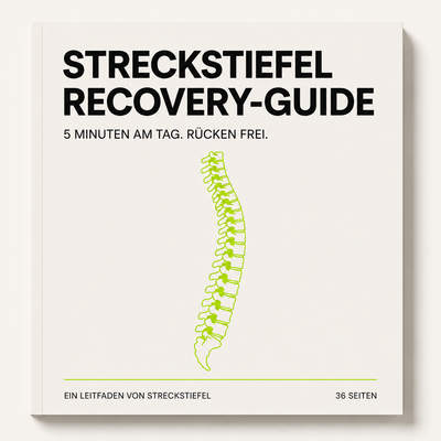 Recovery-Guide