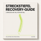 Recovery-Guide